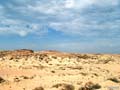 Так выглядит Сахара - каменистые равнины и местами - песок.