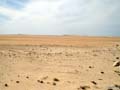 Так выглядит Сахара - каменистые равнины и местами - песок.